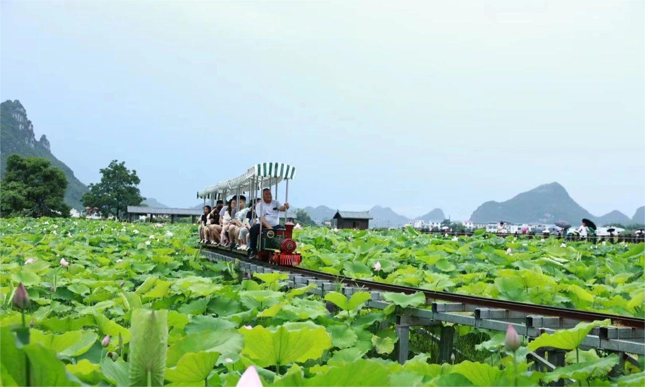 广西壮族自治区柳州市柳江区百朋镇怀洪村